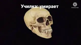 пуси тайт пуси клин