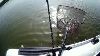 Люблю ловить судаков, они не бесятся как щуки 😀