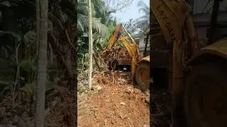 JCB // Loading Tree roots into jcb tipper