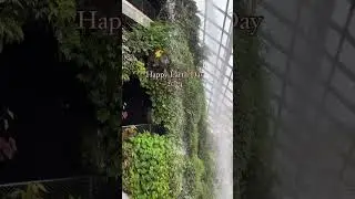 Happy Earth Day!  🌏🌍🌎Throwback to our travel to Singapore 2023. #gardensbythebay #cloudforest