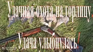 ОХОТА НА ГОРЛИЦУ 2019. УДАЧА УЛЫБНУЛАСЬ!