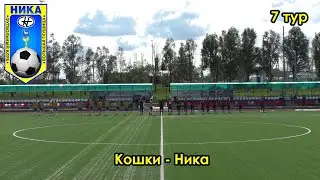 Кошки - БГ 18.06.2022