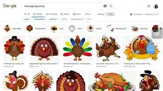 Using Google Image Search Tools to filter results *if using an iPad, use Safari (video has no sound)