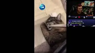El maestro cuando me animaba a participar en clase: