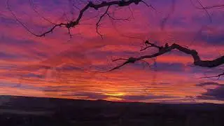 Evening Poem from «Morning Song & Evening Poem» 选自楊靜 «清晨樂 • 夕陽詩»