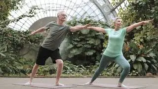 Возрастные изменения цветового зрения