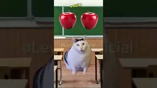 Субтитры живут своей жизнью👍