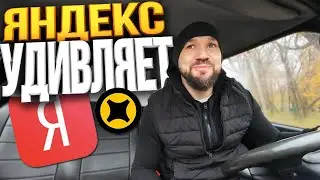 YANDEX FREIGHT: WHAT'S CHANGED? RETURNED TO WORK AFTER 8 MONTHS