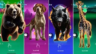 🦖 The Wild Bear vs The Dog vs The Wild Wolf vs The Giraffe | Coffin Dance 🪩