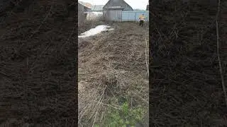 уборка в малине