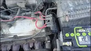 26 августа 2024 г.