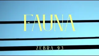 ZEBRA 93 - Fauna