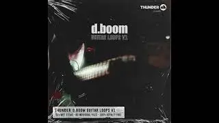 d.boom Guitar Loops V1 presented by Thunder Samples (HipHop Guitar Loops/Dry)