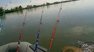 Тарань на Дону
