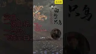 空白的一只鸟。郑南川诗歌集。🎉🎉💕💕