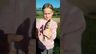 Отлично порыбачил.