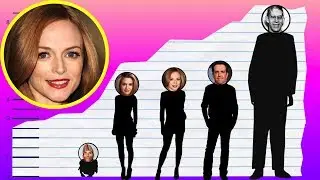 How Tall Is Heather Graham? - Height Comparison!