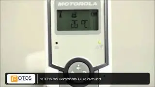 Радионяни Motorola  видео обзор 10.02.2015