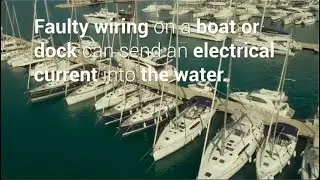 What is Electrical Shock Drowning?
