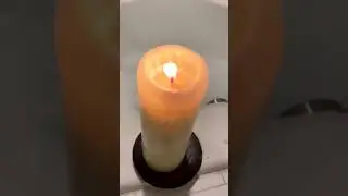 Челделбел и странные видео из его Тик Ток