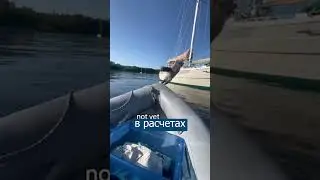 Смелый КОТ прыгун