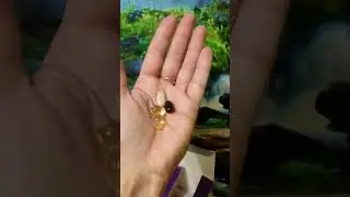 Моя волшебная коробочка здоровья оказывается очень популярна 👏