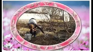 Засучила рукава вперед и с песней Перезолив
