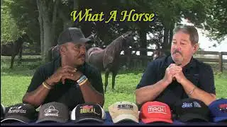 What A Horse 2024 06-13-2023