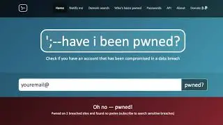 How to Check the Dark Web