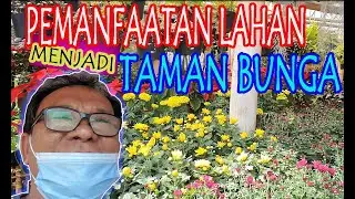 SURGA PECINTA BUNGA DI BANDUNG PARONGPONG LEMBANG