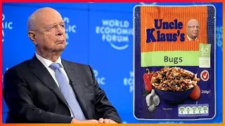 You Will Eat Bugs And You Will Be Happy