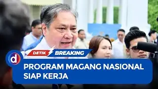 When Will the National Internship Program Be Launched by the Government?