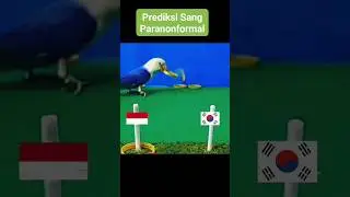Prediksi scor korsel vs indonesia bersama paranonformal #pialaasiau23 #timnasindonesia