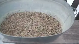 Feeding songbirds. Substrate replacement with mealworms. Grain mixture for feeding songbirds.