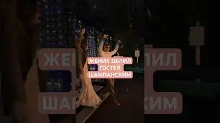Как зафиналить свадьбу? #ведущийнасвадьбумосква #свадьба #ведущиймосква