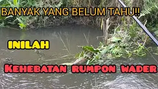 Memang Rumpon Sederhana!!Tapi Disinilah Wader Berkumpul!!#mancingwader#strike #fishing #wadermania