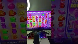 КУПИЛ БОНУСКУ ПОДПИСЧИКУ В SUGA RUSH 1000#shorts #sugarrush #casino