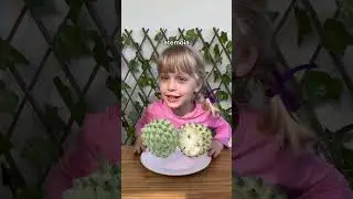 Fiz um teste cego com minha filha de 4 anos!