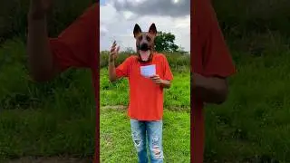 ¿Como se llama tú Perro? 🐶♥️ 