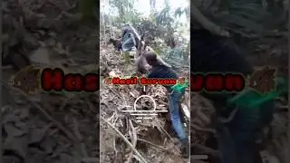 hasil berburu babi hutan#viral #shortsvideo#trending  #trendingvideo