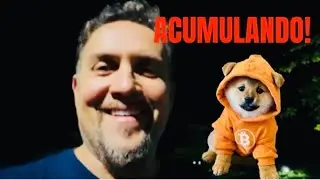 Acumulando agora! Última chance antes do Bull Run.