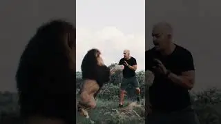 The risk with Lions🦁 