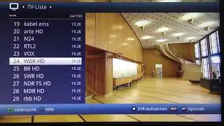 Receive Swiss TV channels via satellite