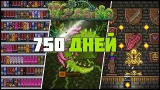 750 дней Мастер мода || Террария