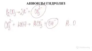 ТҰЗДАР ГИДРОЛИЗІ