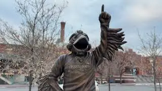 MSU Denver Rowdy Statue Unveiling