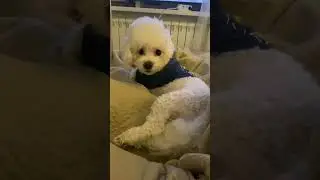 Пряня удивлен, потому что ни на какую работу ему не надо