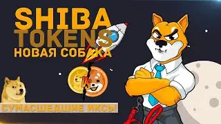 Shiba Token, новый Dogecoin? ГДЕ КУПИТЬ, СВЕЖИЕ НОВОСТИ, СКОРО ИКСЫ УСПЕЙ СТАТЬ ХОЛДЕРОМ ШИБЫ