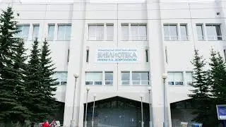 мсис