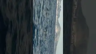 Хищники! но добрые.